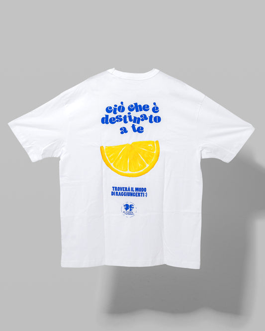 CIÒ CHE È DESTINATO A TEE